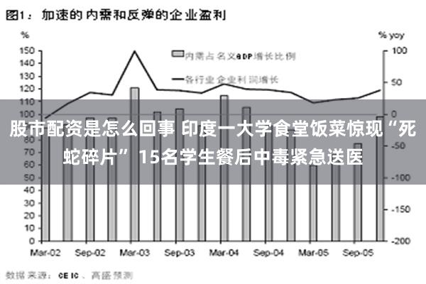 股市配资是怎么回事 印度一大学食堂饭菜惊现“死蛇碎片” 15名学生餐后中毒紧急送医