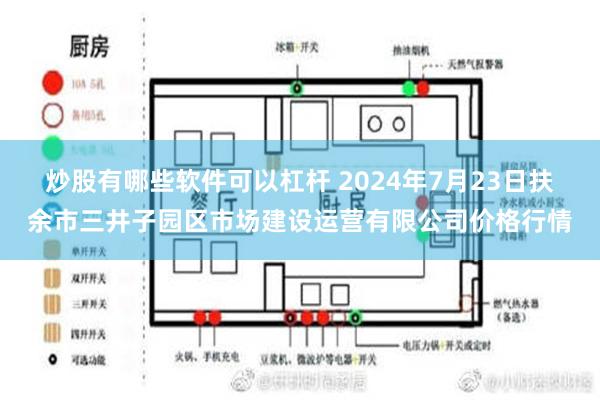 炒股有哪些软件可以杠杆 2024年7月23日扶余市三井子园区市场建设运营有限公司价格行情