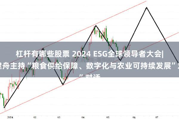 杠杆有哪些股票 2024 ESG全球领导者大会|李建舟主持“粮食供给保障、数字化与农业可持续发展”对话