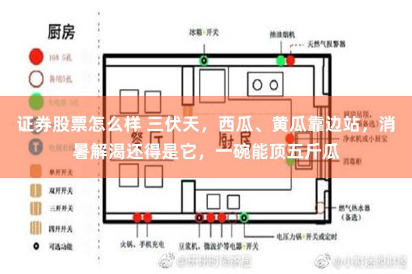 证券股票怎么样 三伏天，西瓜、黄瓜靠边站，消暑解渴还得是它，一碗能顶五斤瓜