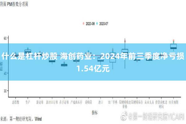 什么是杠杆炒股 海创药业：2024年前三季度净亏损1.54亿元