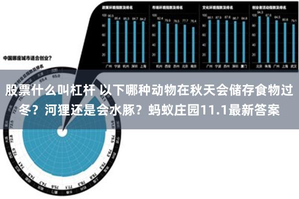 股票什么叫杠杆 以下哪种动物在秋天会储存食物过冬？河狸还是会水豚？蚂蚁庄园11.1最新答案