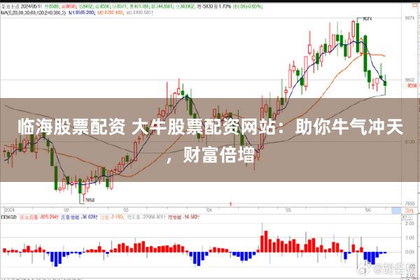 临海股票配资 大牛股票配资网站：助你牛气冲天，财富倍增