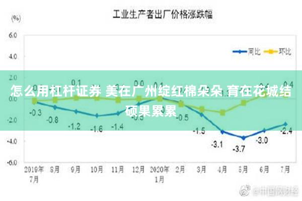 怎么用杠杆证券 美在广州绽红棉朵朵 育在花城结硕果累累