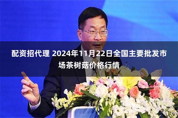 配资招代理 2024年11月22日全国主要批发市场茶树菇价格行情