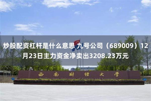 炒股配资杠杆是什么意思 九号公司（689009）12月23日主力资金净卖出3208.23万元