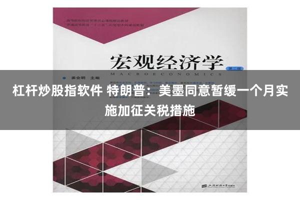 杠杆炒股指软件 特朗普：美墨同意暂缓一个月实施加征关税措施